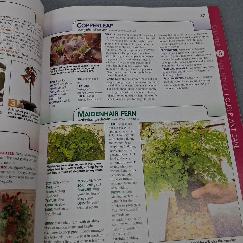 Miracle-Gro Guide to Growing Healthy Houseplants 2005 Soft Cover Book